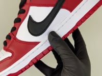 Nike SB Dunk Low Pro J-Pack Chicago