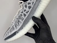 adidas Yeezy 350 V2 CMPCT Slate Panda